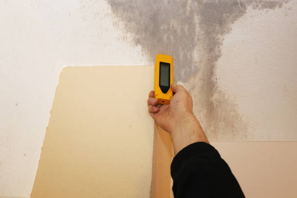 Best Dehumidification Services  in Goose Creek, SC