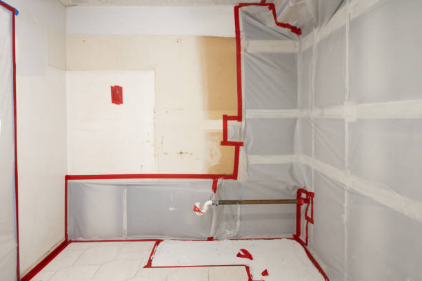 Best Post-Remediation Verification Testing  in Goose Creek, SC