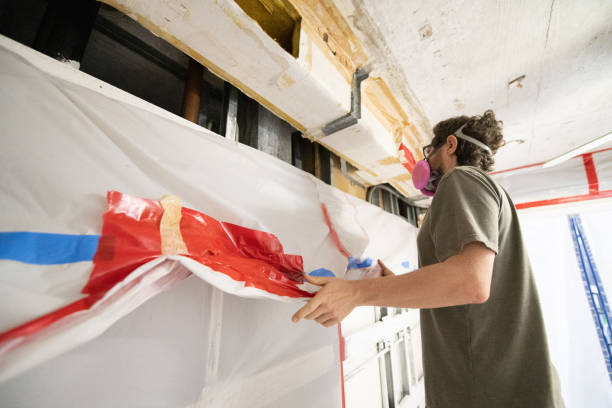 Best Mold Removal for HVAC Installations  in Goose Creek, SC