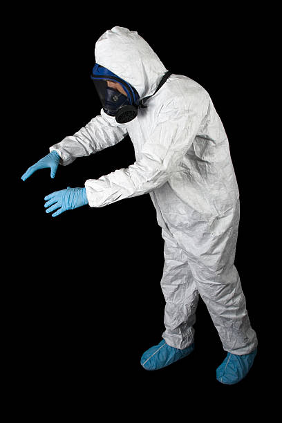 Best Attic Mold Removal  in Goose Creek, SC