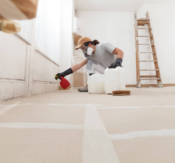 Best Real Estate Mold Inspection  in Goose Creek, SC